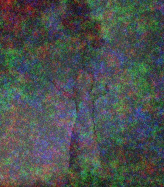 Sag-mir-was-Du-siehst Bild